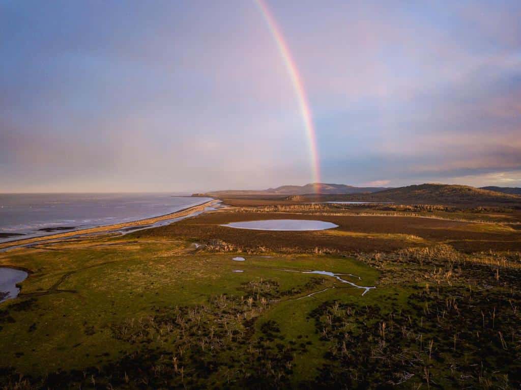 Día Mundial de la Turba: Tierra del Fuego a la espera de la ley que proteja la turbera más importante del país