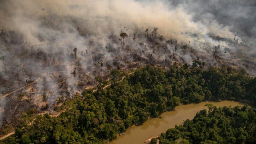 Los incendios forestales devastadores aumentarán para fin de siglo