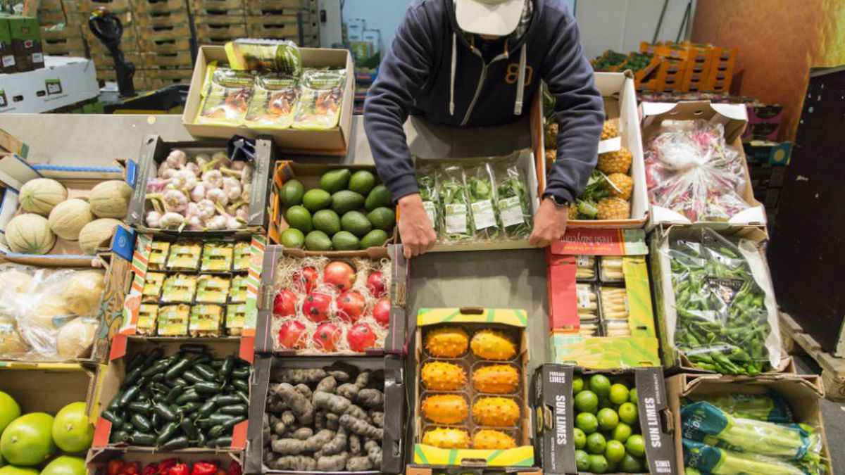 ONU: Los precios de los alimentos alcanzaron un nuevo récord histórico