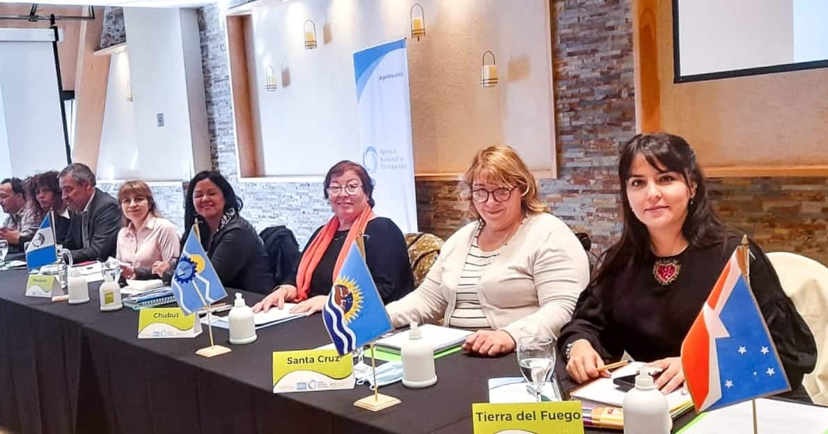 Tierra del Fuego presente en la Asamblea del Consejo Federal de Discapacidad