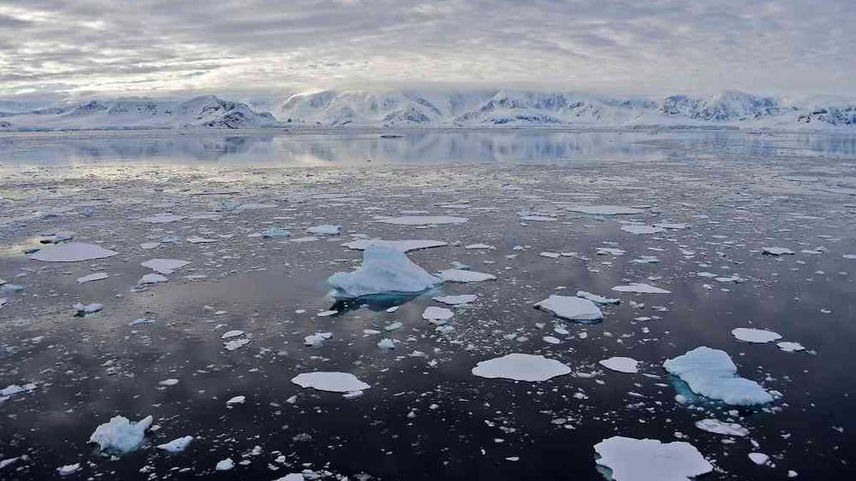 Encuentran por primera vez microplásticos en la nieve fresca de la Antártida