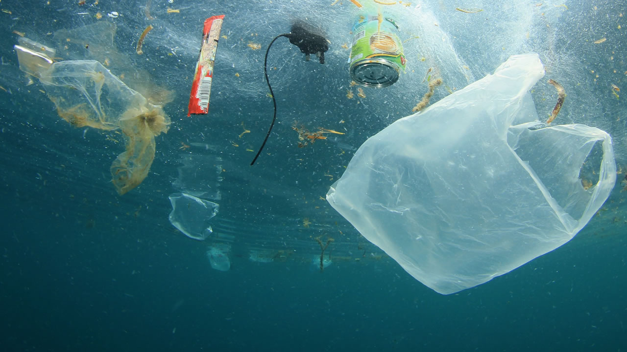 Advierten sobre la contaminación en los océanos