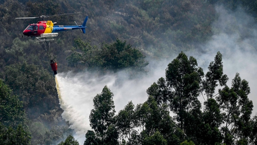 Incendios y evacuados por la ola de calor en Europa