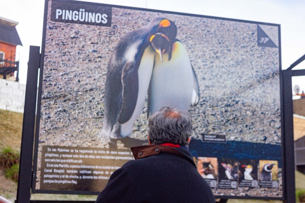 Presentaron la muestra “Caminata por Malvinas, naturalmente argentinas y fueguinas”