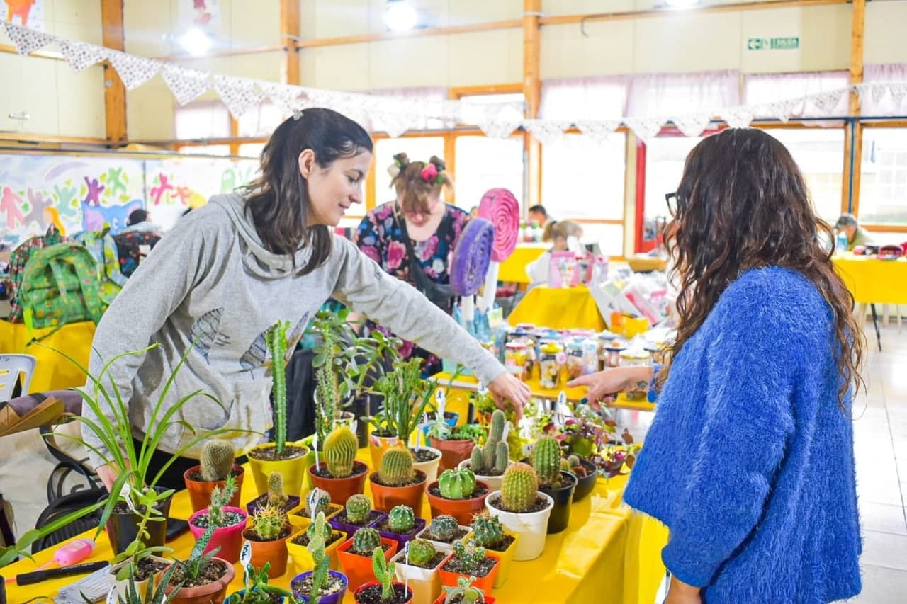 Ushuaia y Tolhuin contarán con ferias provinciales