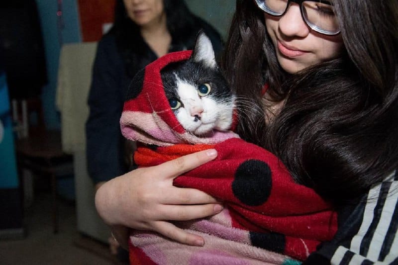 Zoonosis estuvo en el Barrio Dos Banderas