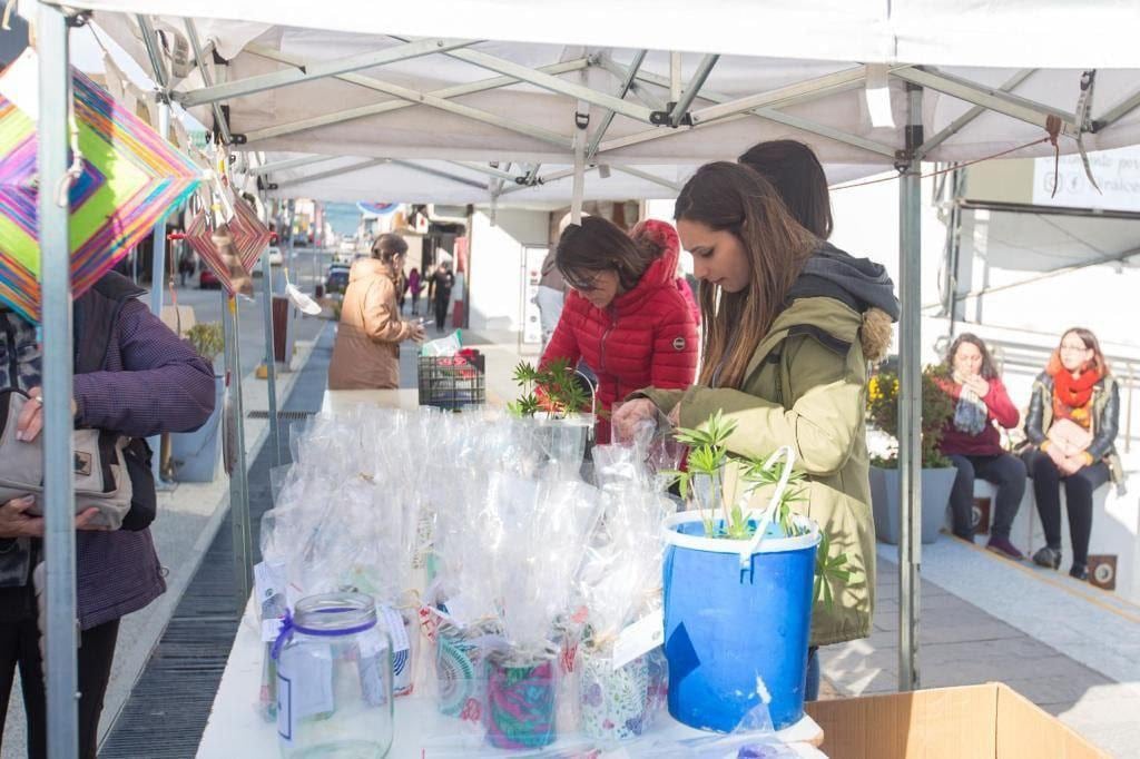 Se realizo un Festival por la Salud Mental