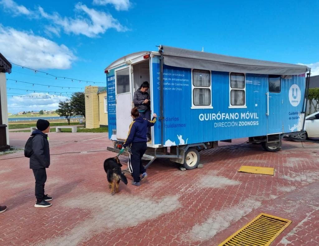 «Zoonosis más Cerca» estará en el Paseo de las Rosas