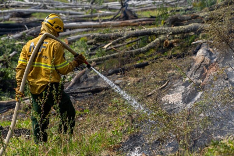 Hoy llegarán 50 brigadistas más para combatir el fuego en la Reserva Corazón de la Isla