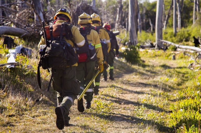 Como se encuentra el incendio en la Reserva Corazón de la Isla