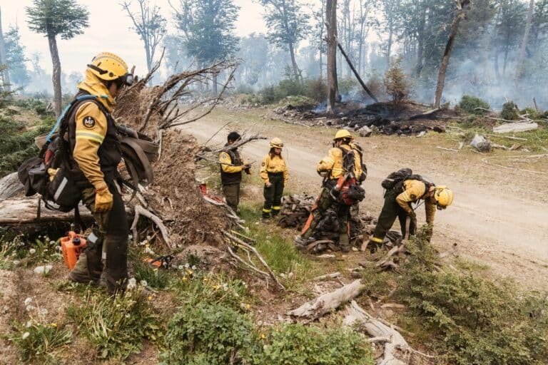 Cómo se encuentra el incendio en la Reserva Corazón de la Isla