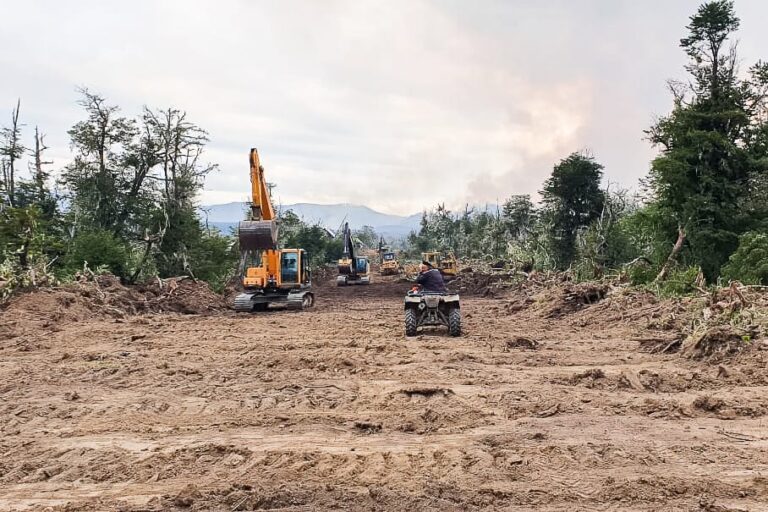 Vialidad trabaja intensamente en las distintas zonas afectadas por el incendio