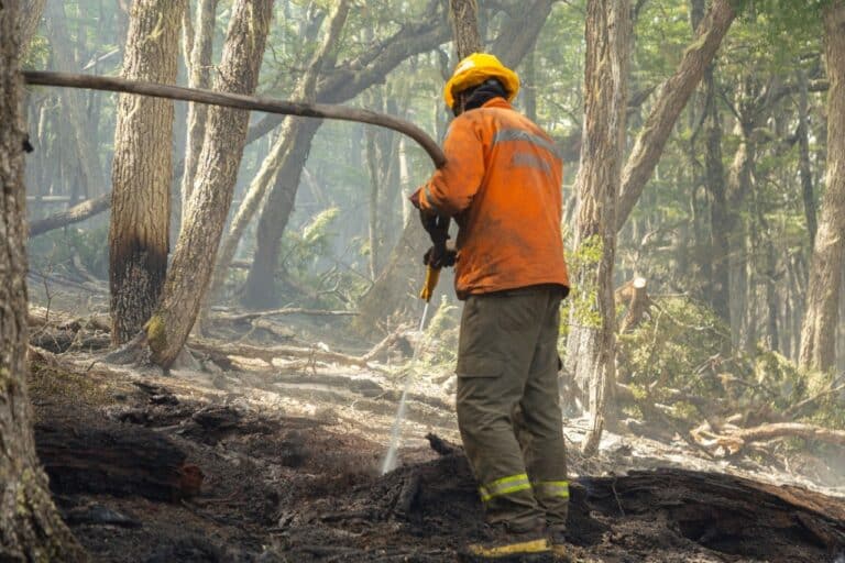 Paredes: «El incendio sigue contenido, no ha tenido avance»