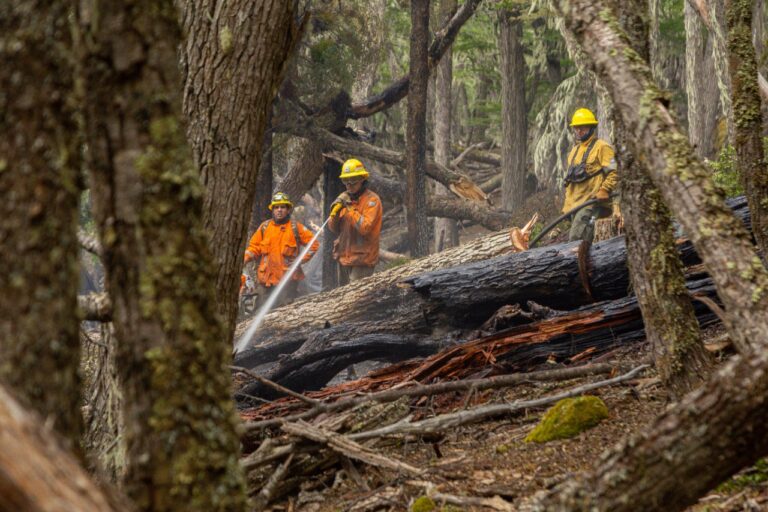 Estado de situación del incendio en la Reserva Corazón de la Isla