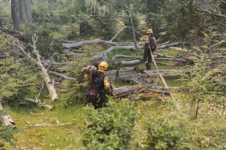 Combatientes trabajan para sofocar un nuevo foco de incendio en la Ruta 23