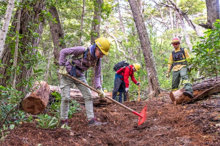 Finalizó el primer curso para combatientes de incendios forestales