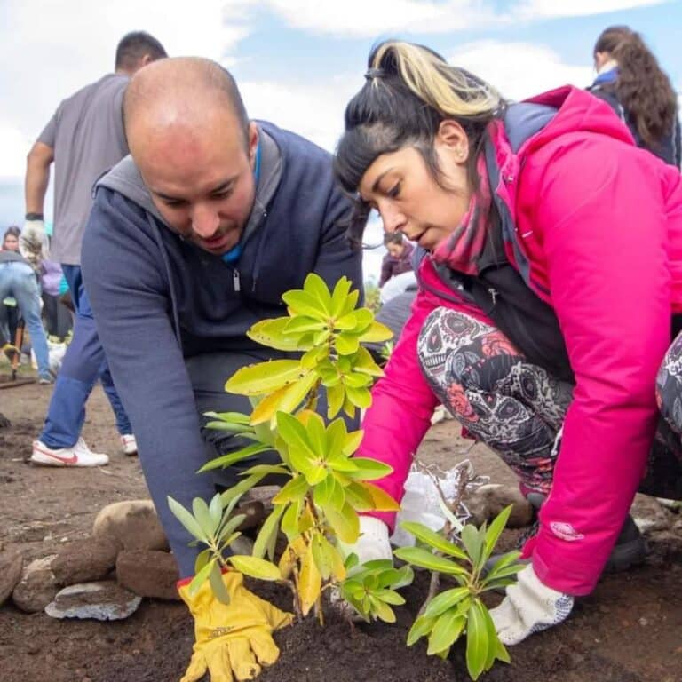 Plantaron árboles autóctonos en la ciudad