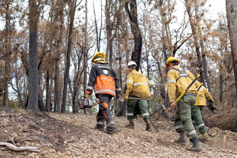 «Falta poco para extinguir el incendio en la Reserva Provincial Corazón de la Isla»