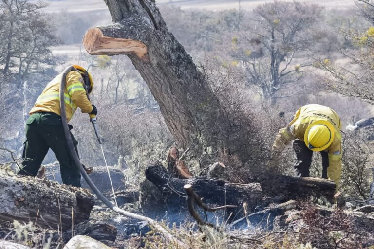 El incendio de la estancia Guazú Cue se encuentra contenido