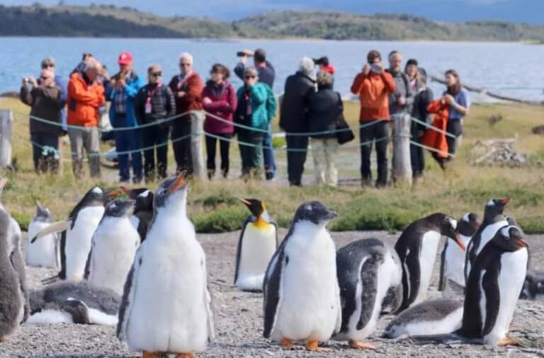 Alrededor de 80 mil turistas visitaron Ushuaia