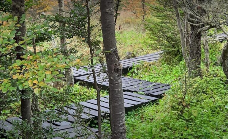 Invitan a conocer el Jardín Botánico del Cerro Bonete