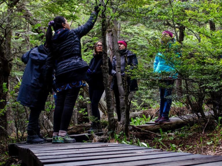 Continúan las visitas guiadas al Jardín Botanico del Cerro Bonete