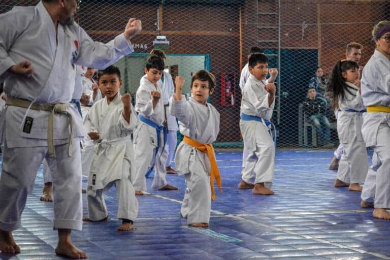 Las escuelas de Karate-Do cerraron el año con una clase de exhibición