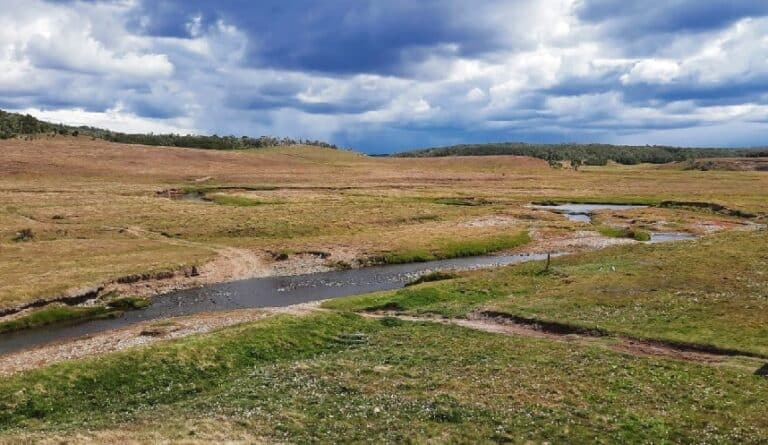 Investigadores fueguinos adhieren al rechazo de 28 artículos de la Ley Ómnibus vinculados con el ambiente