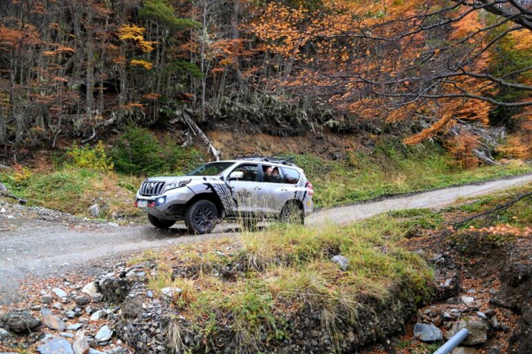 Cuáles son los beneficios del programa Otoño del Fuego