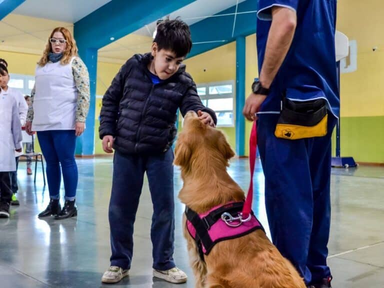 En Tolhuin esperan insumos para comenzar con la castración masiva