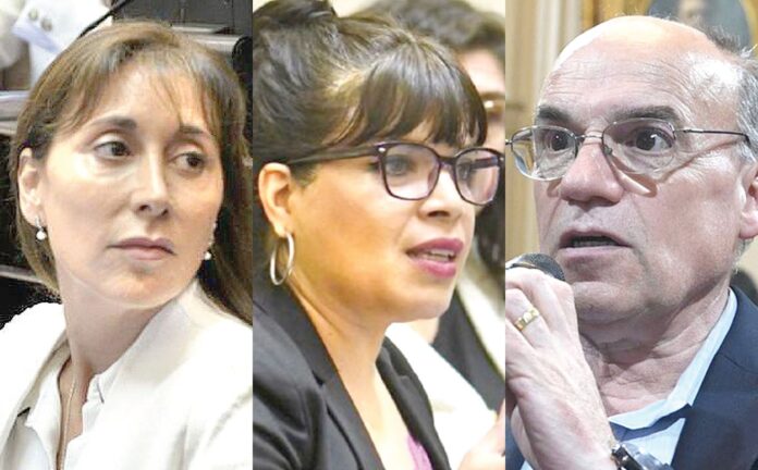 Ley Bases: Cómo votarán los senadores fueguinos