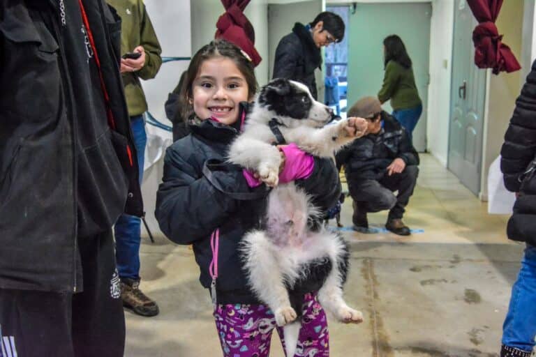 La Municipalidad de Ushuaia llevó adelante una jornada de cuidado responsable de animales
