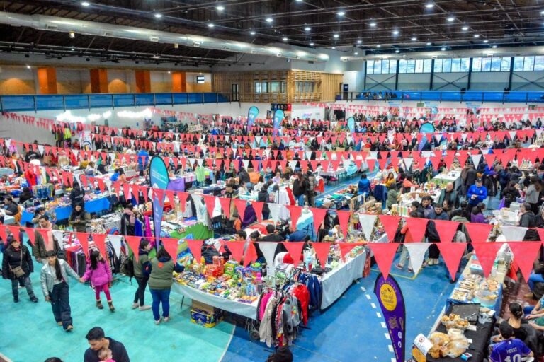 Gran convocatoria en la feria de emprendedores