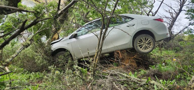 Vehículo se desbarrancó e impactó contra un árbol