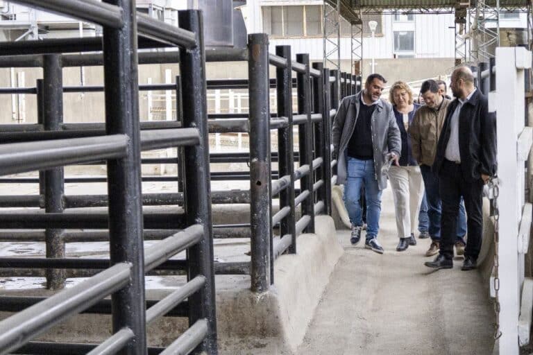 Faenaron 35 toneladas de carne bovina y ovina