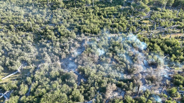 Confirman incendio forestal en el Paso Fronterizo Bellavista