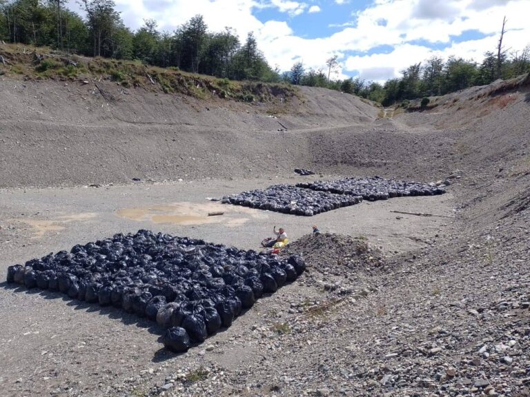 El Municipio concretó la limpieza del relleno sanitario